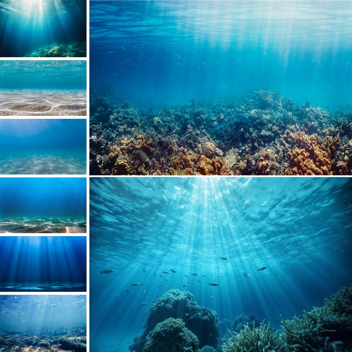 Sfondo Blu Mondo Sottomarino p - Photo Develop Tank recensione e prezzo